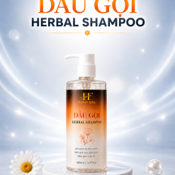 DẦU GỘI 2